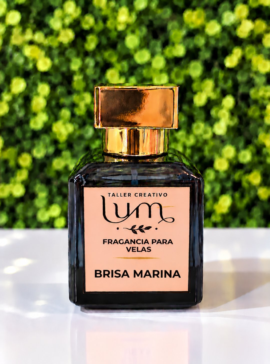 Fragancia para velas Brisa Marina 30 gramos