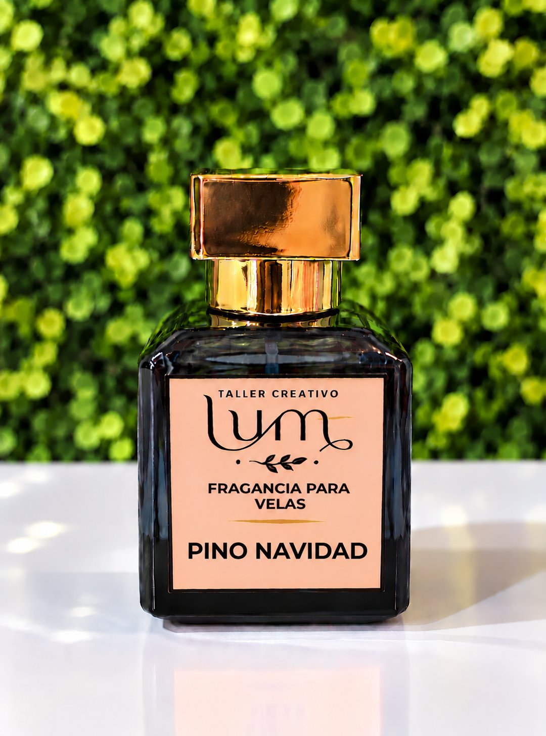 Fragancia para velas Pino Navidad 30 gramos